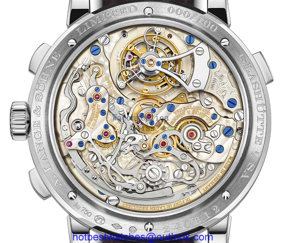 lange soehne datograph perpetual tourbillon closeup caseback