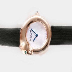 Cartier Panther WAES2549 Womens 22mm Stainless Steel Case Watch