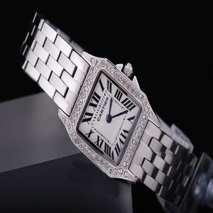 Cartier Santos 100 wf9003y8 Silver Stainless Steel Strap Stainless Steel Bezel White Dial Watch