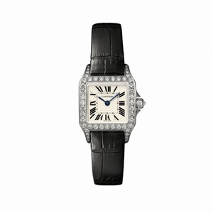 Cartier Santos Demoiselle Silver Dial Ladies Watch WF902007