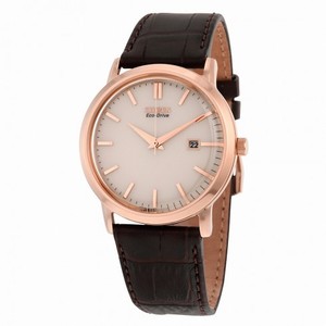 Citizen Eco-Drive Champagne Dial Brown Leather Strap Men's Watch BM7193.07B