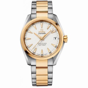 Omega Aqua Terra Master Co-Axial Silver Dial Ladies Watch 231.20.39.21.02.002