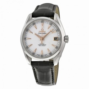 Omega Seamaster Aqua Terra Automatic Silver Dial Brown Leather Men's Watch 23113392102002