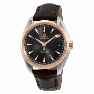 Omega Seamaster Aqua Terra Teak Grey Dial Automatic Men's Watch 231.23.42.21.06.003